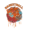 basketball2